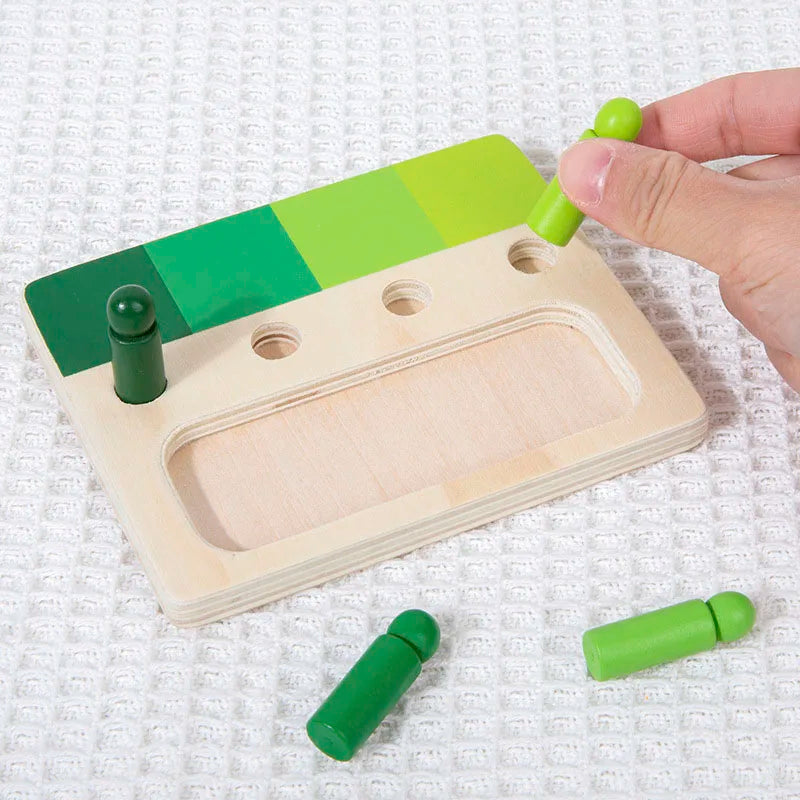 Wooden Montessori Toy Color Sense System Training Wood Insert Board 24 Color Children's Color Cognitive Matching Educational Toy